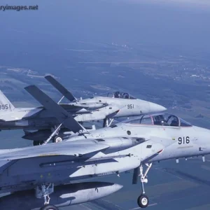 F-15 - Japanese Air Self-Defence Force (JASDF)