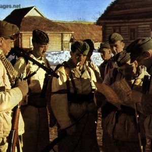 German infantry check out a map
