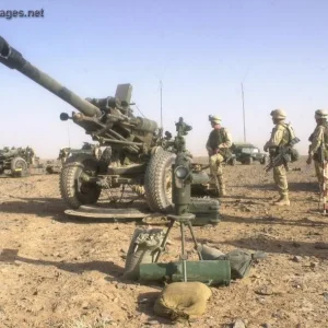 M119