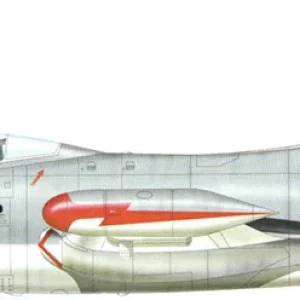 Argentine Navy F9F-2B (3-A-103, 0418)