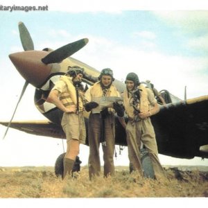 P-40 Warhawk and pilots
