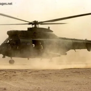 RAF Puma