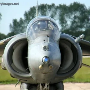 Harrier GR7 - RAF