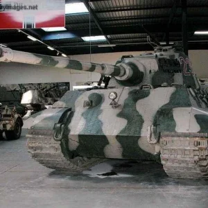 pz6b0019