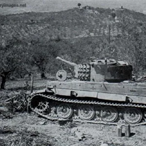 pz60017