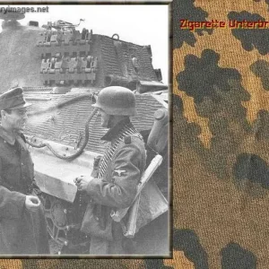 pz6b0034