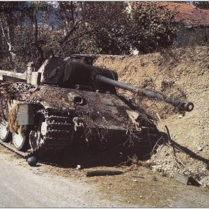 Destroyed Panther