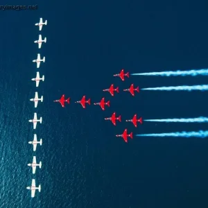 Red Arrows & Snowbirds