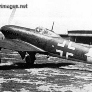 Luftwaffe Typhoon