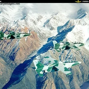 FMA IA-63 Pampa - Fuerza Aerea Argentina