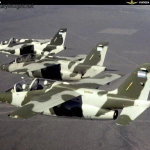 FMA IA-63 Pampa - Fuerza Aerea Argentina