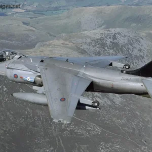 Harrier GR7 - RAF