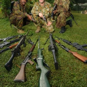 Display of surrendered weapons for destruction
