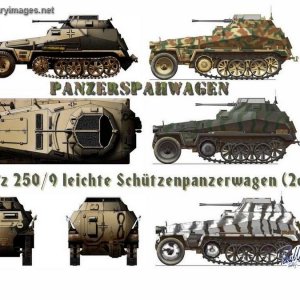 SdKfz 250/9 leichte Schtzenpanzerwagen (2cm) multi-view