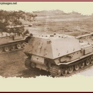 Ferdinands