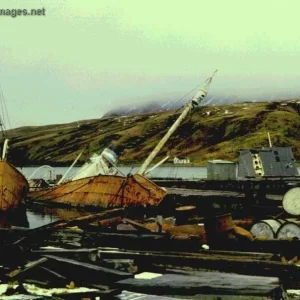 Harbor at South Georgia