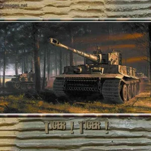 Tiger Tiger Nicolas Trudgian