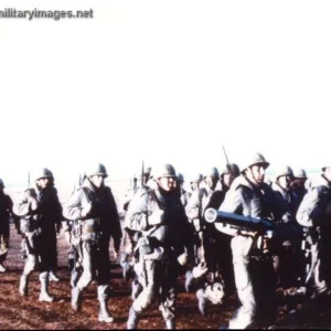 Falklands War