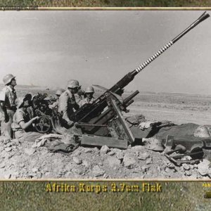 Afrika Korps 3.7cm Flak