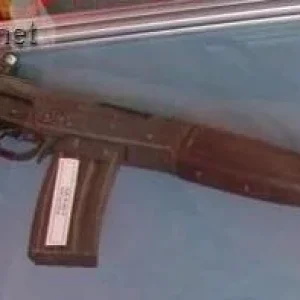 FARA 83 Assault Rifle
