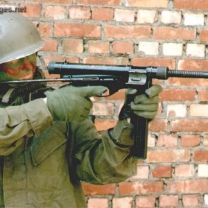 Vigneron M2