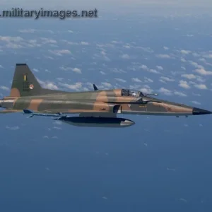 Brazilian Air Force Freedom Fighter
