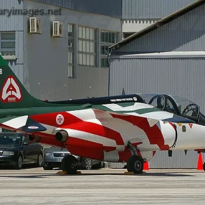 Alpha Jet, "Asas de Portugal"