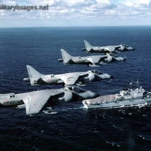 Giuseppe Garibaldi and Harriers - Italian Navy