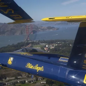 Blue Angels