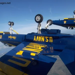 Blue Angels