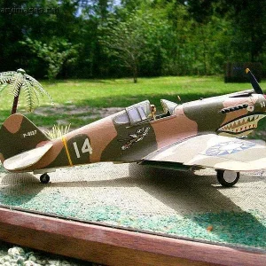 P-40 Flying Tiger of the Chinese Air Force, 1/48th scale maodel