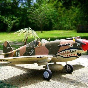P-40 Flying Tiger of the Chinese Air Force, 1/48th scale maodel