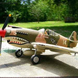 P-40 Flying Tiger of the Chinese Air Force, 1/48th scale maodel