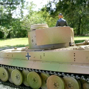 Tiger!