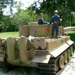 Tiger!