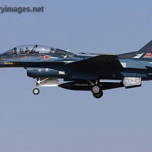 Japanese Air Force