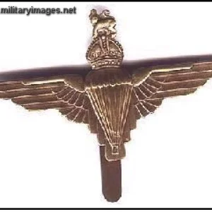 Brass Para Cap Badge