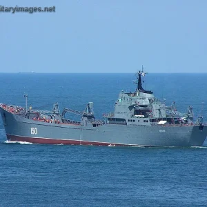 Alligator class LST Saratov - Russian Navy