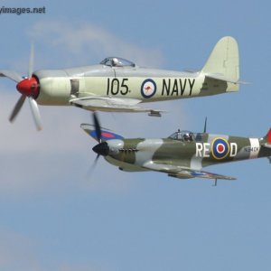 SeaFury and Spitfire