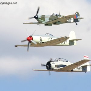 SeaFury, Spitfire and Trojan