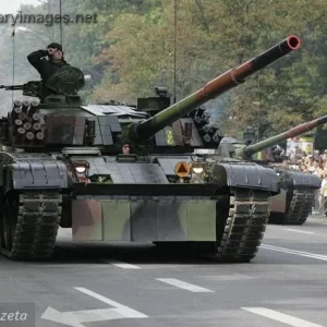 Polish Army Day