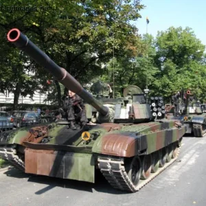 Polish Army Day