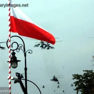Polish Army Day