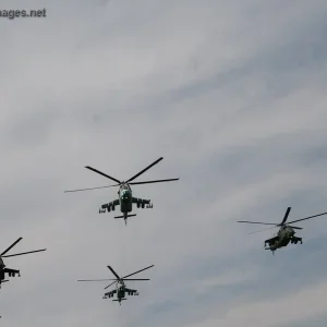 Polish Army Day