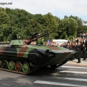 Polish Army Day
