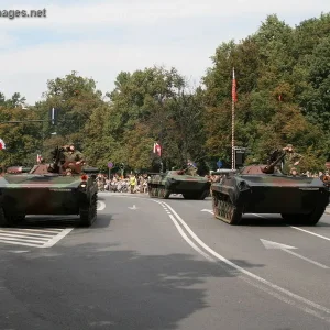 Polish Army Day