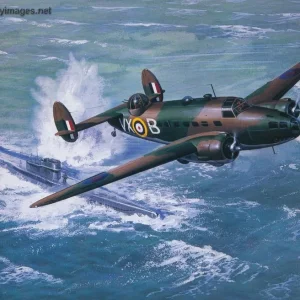 The Art of Roy Cross
