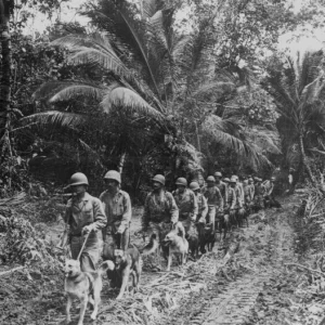 marine_raiders_bougainville