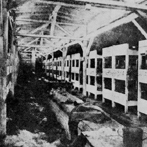 Holocaust