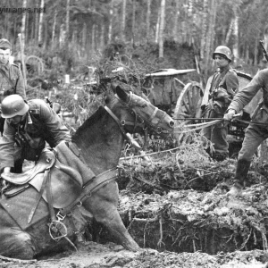 Battle Of The Bulge